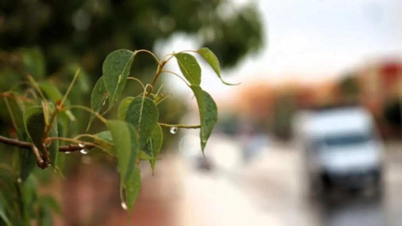 مرتفع أصوري بالمغرب.. توقعات الطقس تكشف أسباب البرودة الليلية وتشكل الصقيع المحلي